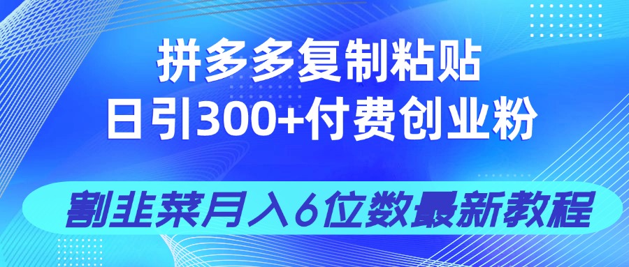 （14232期）拼多多复制粘贴日引300+付费创业粉，割韭菜月入6位数最新教程！-入圈