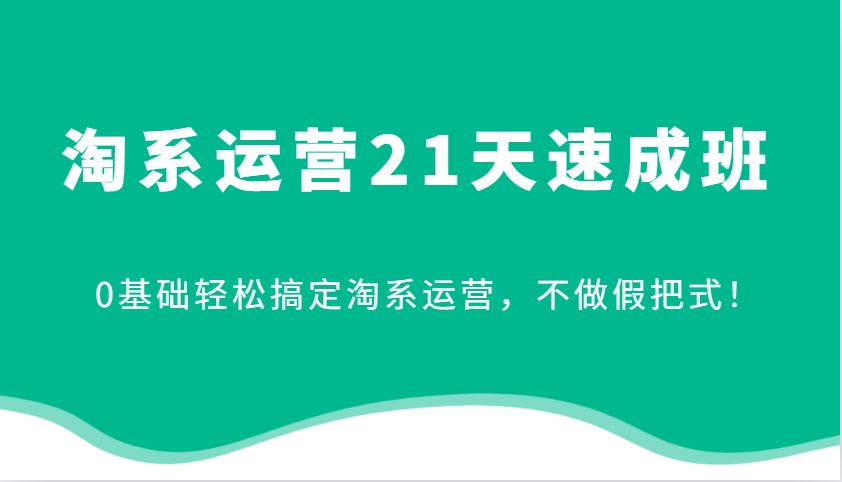 淘系运营21天速成班，0基础轻松搞定淘系运营，不做假把式！（更新）-入圈