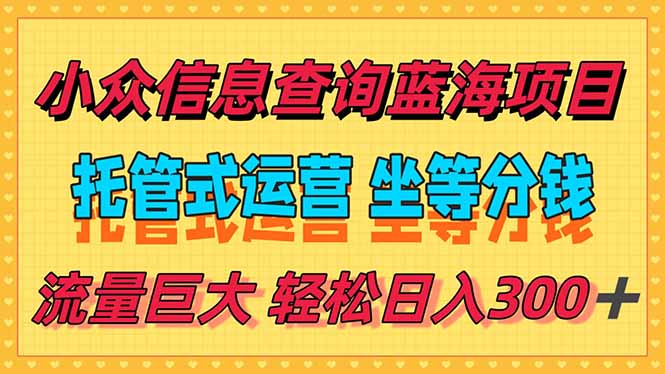 （15216期）稳定日入300＋，小众信息查询蓝海项目，全程懒人式托管，解放你的时间-入圈