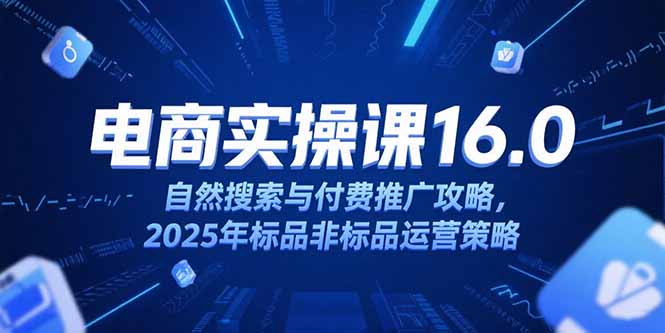 （15262期）淘宝电商运营课16.0，自然搜索与付费推广攻略，2025年标品非标品运营策略-入圈