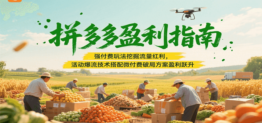 拼多多盈利指南：强付费玩法挖掘流量红利，活动爆流技术搭配微付费方案实现盈利跃升-入圈