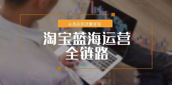 （15160期）淘宝蓝海运营全链路，从选品到流量变现，小类目突围完整方案-入圈