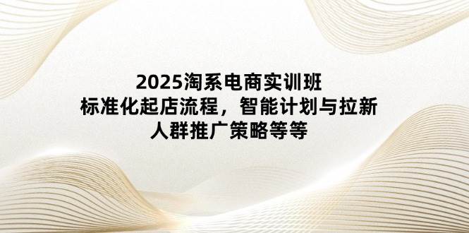 2025淘系电商实训班：标准化起店流程，智能计划与拉新，人群推广策略等等-入圈