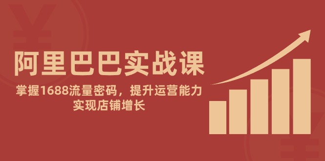 （14830期）阿里巴巴实战课：掌握1688流量密码，提升运营能力，实现店铺增长-入圈