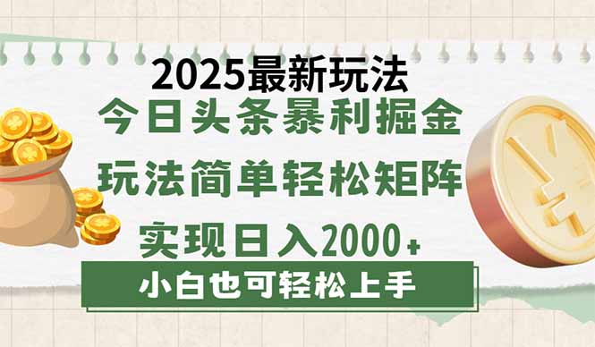 （14120期）今日头条2025最新玩法，思路简单，复制粘贴，轻松实现矩阵日入2000+-入圈