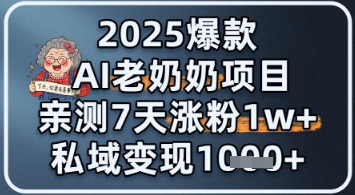 2025爆款 AI 老奶奶项目：亲测 7 天涨粉 1W+，私域变现 1k+-入圈