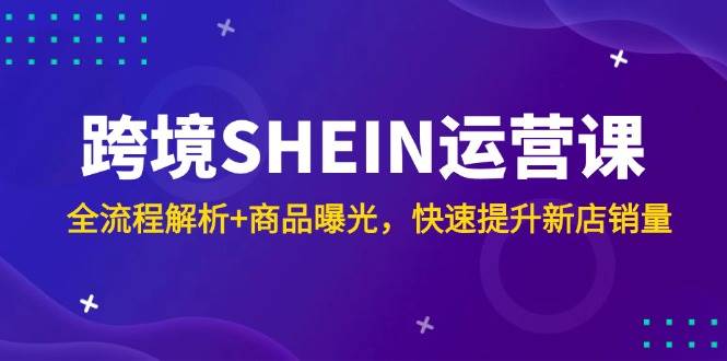 跨境SHEIN运营课，全流程解析+商品曝光，快速提升新店销量-入圈