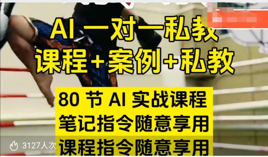 AI指令实战课，课程+案例，80节AI实战课程，笔记指令随意享用，课程指令随意享用（更新7月）-入圈