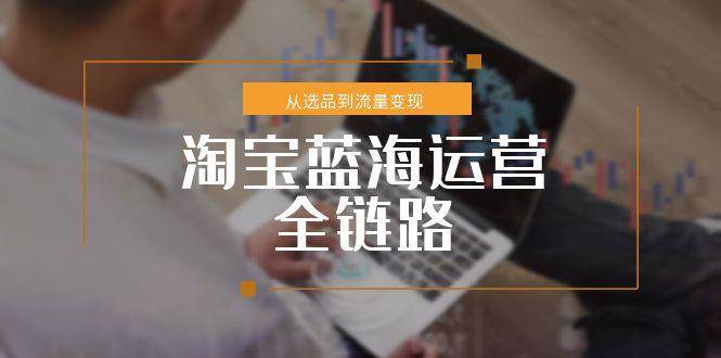 淘宝蓝海运营全链路，从选品到流量变现，小类目突围完整方案-入圈