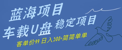 蓝海项目车载U盘稳定项目，挣的就是信息差，客单价99，日入几张简简单单-入圈