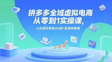 拼多多全域虚拟电商从零到1实操课，小白虚拟电商从0到1实操到精通-入圈