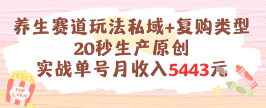 养生赛道玩法私域+复购类型，20秒生产原创实战单号月收入5k+-入圈
