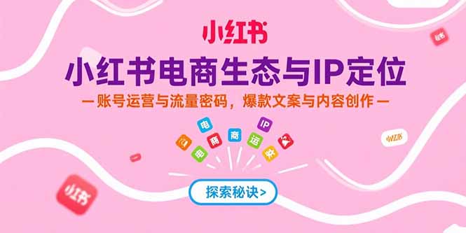 （15350期）小红书电商生态与IP定位，账号运营与流量密码，爆款文案与内容创作-入圈
