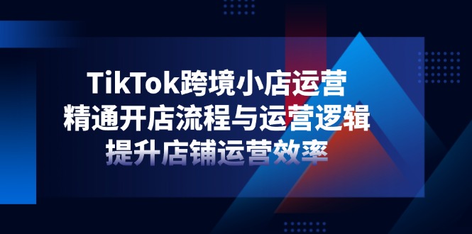 （14369期）TikTok跨境小店运营，精通开店流程与运营逻辑，提升店铺运营效率-入圈