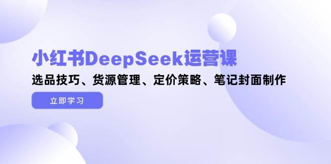 小红书DeepSeek运营课，选品技巧、货源管理、定价策略、笔记封面制作-入圈