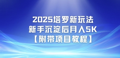 2025塔罗新玩法，新手沉淀后月入5K【附带项目教程】-入圈