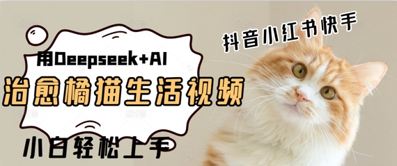 疯狂火爆，用Deepseek+AI做治愈橘猫系列视频，小白轻松制作+快速拿到结果-入圈