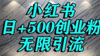 小红书无限引流创业粉，单人操作日引500+精准创业粉-入圈