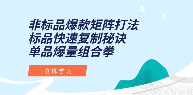 （15068期）非标品爆款矩阵打法，标品快速复制秘诀，单品爆量组合拳-入圈