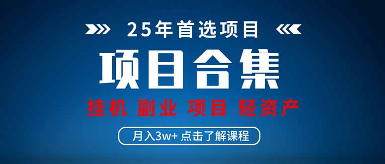 （14175期）2025 实操项目合集 挂机类型 直播类型 轻资产创业类型 课程分享各项目…-入圈