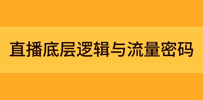 （14695期）直播底层逻辑与流量密码：定位模型+案例拆解，急速流承接与数据优化全攻略-入圈
