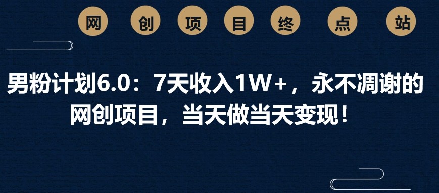 男粉计划6.0：7天收入1W+，永不凋谢的网创项目，当天做当天变现！-入圈