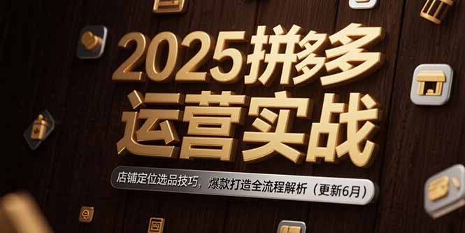 （15235期）2025拼多多运营实战：店铺定位选品技巧，爆款打造全流程解析（更新6月）-入圈