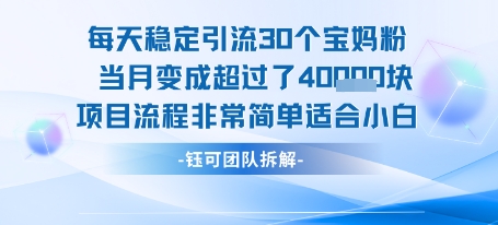 每天稳定引流30个人 当月变成超过了4个W项目流程非常简单适合小白-入圈