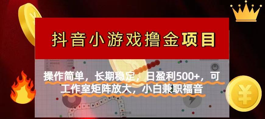 （14290期）【抖音小游戏发行人计划项目】操作简单，长期稳定，日盈利500+，可工作…-入圈