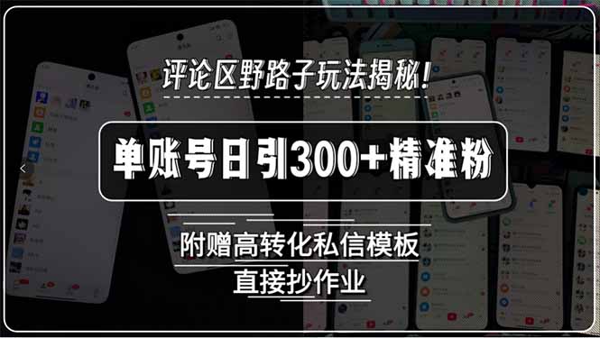 （15466期）评论区野路子玩法揭秘！单账号日引300+精准粉，附赠高转化私信模板，直…-入圈