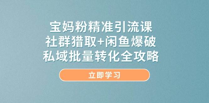 宝妈粉精准引流课，社群猎取+闲鱼爆破，私域批量转化全攻略-入圈