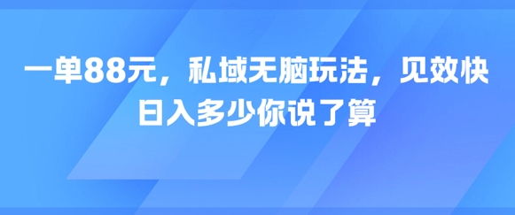 一单88元，私域无脑玩法，见效快，日入多少你说了算-入圈