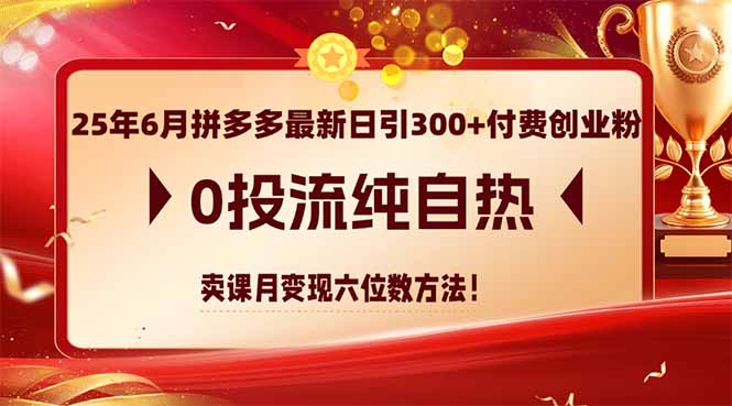 （14989期）25年6月拼多多最新日引300+付费创业粉，0投流纯自热 卖课月变现六位数方法-入圈