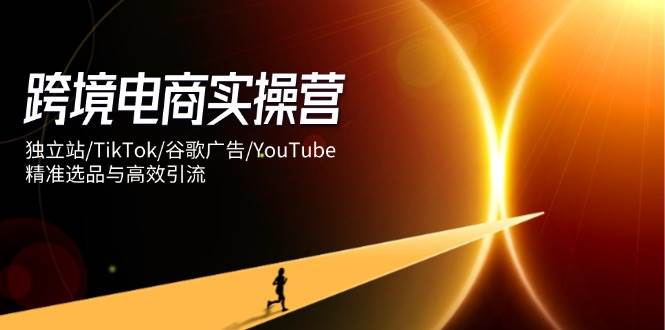 跨境电商实操营：独立站/TikTok/谷歌广告/YouTube，精准选品与高效引流-入圈