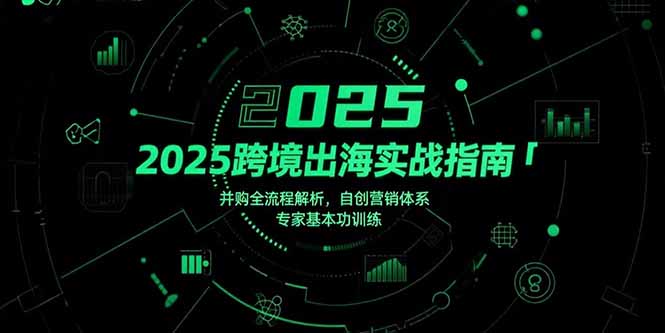 （15503期）2025跨境出海实战指南，并购全流程解析，自创营销体系，专家基本功训练-入圈