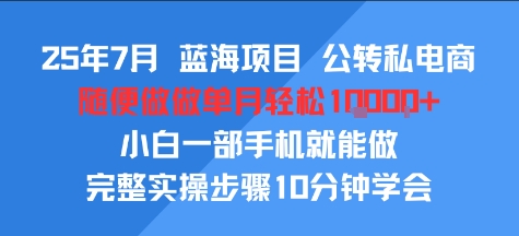 25年7月蓝海项目，公转私电商，随便做做单月轻松1w，小白一部手机就能做，完整实操步骤10分钟学会-入圈