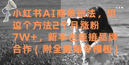 小红书AI商单玩法，用这个方法2个月涨粉7W+，新手也能接品牌合作(附全套指令模板)-入圈