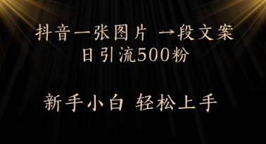 每天2分钟，抖音一张图片 一段文案日引流500粉-入圈