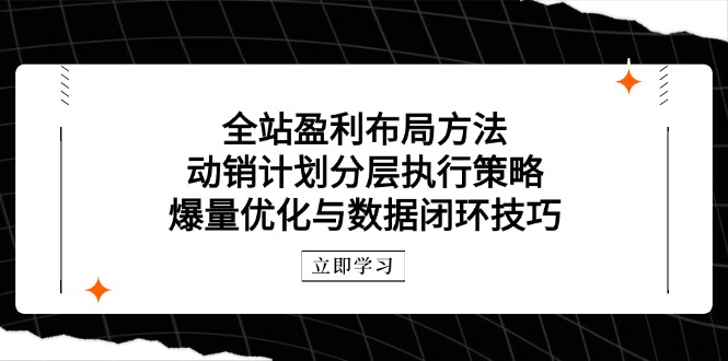 （14698期）全站盈利布局方法：动销计划分层执行策略，爆量优化与数据闭环技巧-入圈