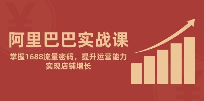 阿里巴巴实战课：掌握1688流量密码，提升运营能力，实现店铺增长-入圈