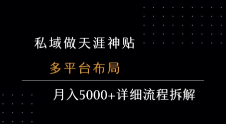 私域做天涯神贴 多平台布局 月入5k+详细流程拆解-入圈