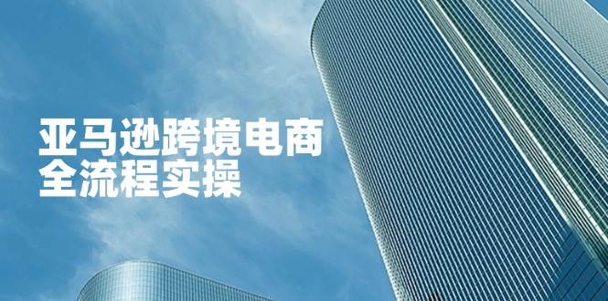 亚马逊跨境电商全流程实操，教你从零开始，掌握店铺运营与广告技巧-入圈