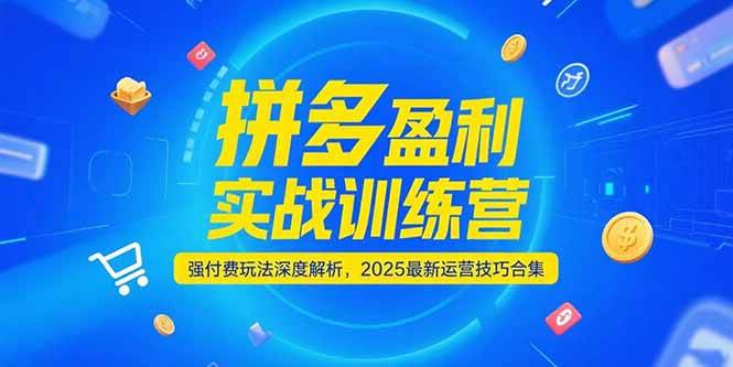 拼多多盈利实战训练营，强付费玩法深度解析，2025最新运营技巧合集-入圈