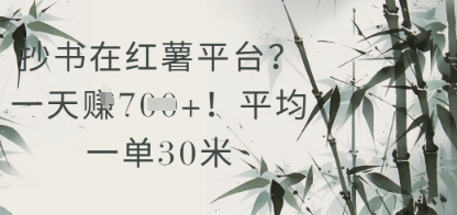 抄书在小红薯平台？平均一单30米，一天收益几张！-入圈