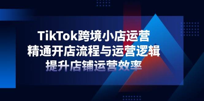 TikTok跨境小店运营，精通开店流程与运营逻辑，提升店铺运营效率-入圈