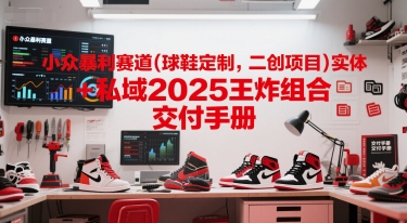 小众暴利赛道(球鞋定制，二创项目)实体+私域2025王炸组合  交付手册-入圈