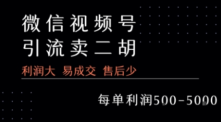 视频号卖二胡教程，利润大 易成交 售后少，一单利润5张+-入圈