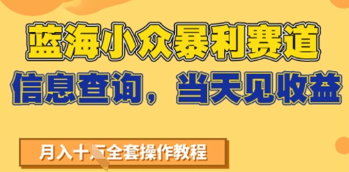蓝海小众暴利赛道，信息查询，当天见收益，不讲玄学，7天搞了2W+-入圈