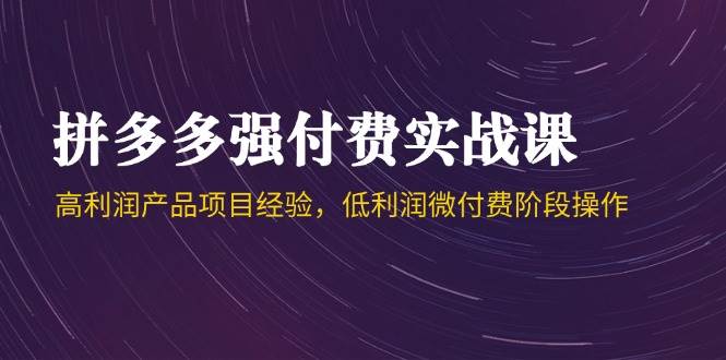 拼多多强付费实战课-44期，高利润产品项目经验，低利润微付费阶段操作-入圈