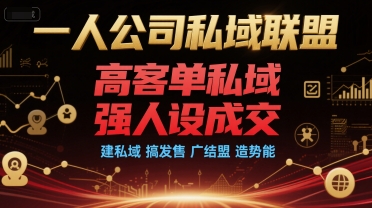 一人公司私域联盟，高客单私域，强人设成交，建私域 搞发售 广结盟 造势能-入圈